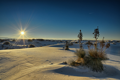 Photographies des paysages des White Sand Dune au Nouveau Mexique aux Etats-Unis