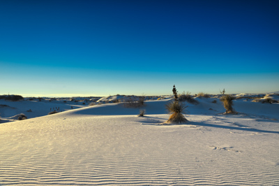 Photographies des paysages des White Sand Dune au Nouveau Mexique aux Etats-Unis