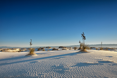 Photographies des paysages des White Sand Dune au Nouveau Mexique aux Etats-Unis