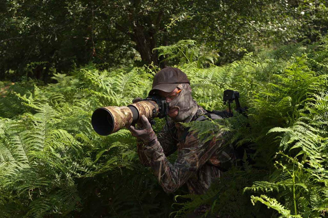 Un participant en action durant un affût durant l'un de nos stages consacré au brame du cerf.