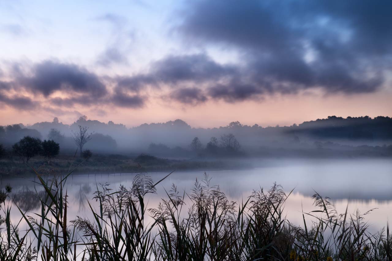 Paysage d'une zone humide en Haute-Saintonge dans l'ouest de la France. Photographie par Amar Guillen, artiste photographe