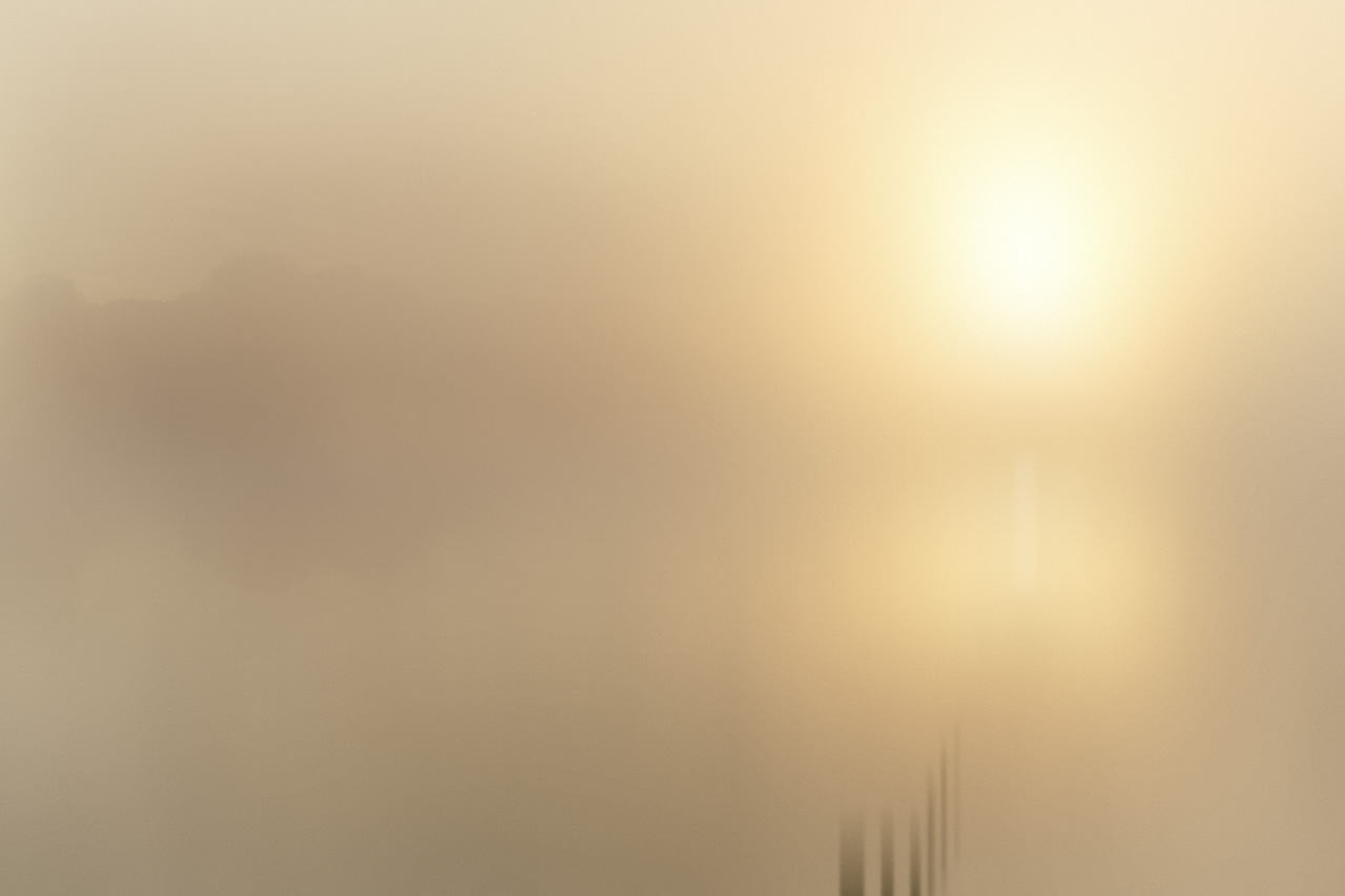 Pond bathed in the mist evoking the impression of the rising sun. Fine art Photograph in black and white by Amar Guillen, photographer artist.