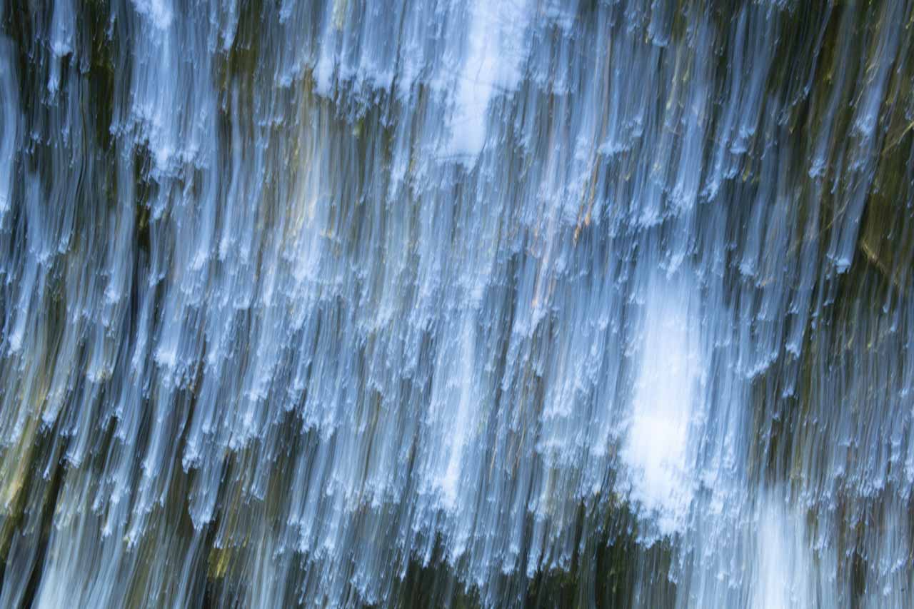 Sous-bois en couleur photographiés de manière créative en icm. Photographie en couleur par Amar Guillen, artiste photographe.