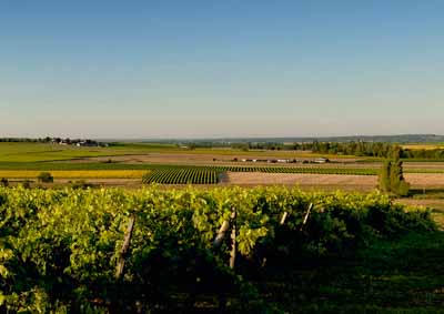 Le livre Reflets de Haute-Saintonge. Photographies et textes par Isabelle et Amar Guillen.