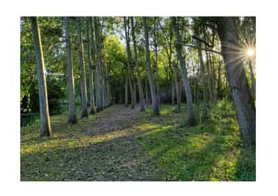 Le livre Reflets de Haute-Saintonge. Photographies et textes par Isabelle et Amar Guillen.