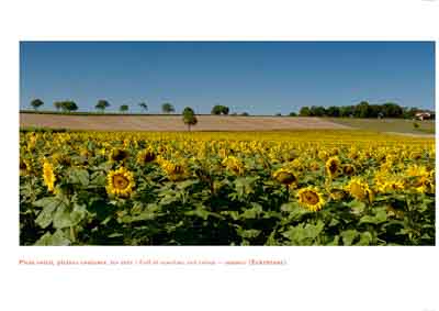 Le livre Reflets de Haute-Saintonge. Photographies et textes par Isabelle et Amar Guillen.