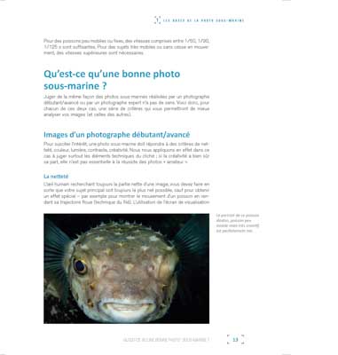 Le livre Les Secrets de la Photo Sous-Marine. Photographies et textes par Isabelle et Amar Guillen.