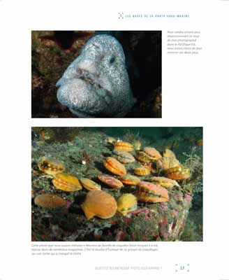 Le livre Les Secrets de la Photo Sous-Marine. Photographies et textes par Isabelle et Amar Guillen.