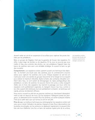 Le livre Les Secrets de la Photo Sous-Marine. Photographies et textes par Isabelle et Amar Guillen.