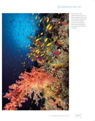 Le livre Les Secrets de la Photo Sous-Marine. Photographies et textes par Isabelle et Amar Guillen.