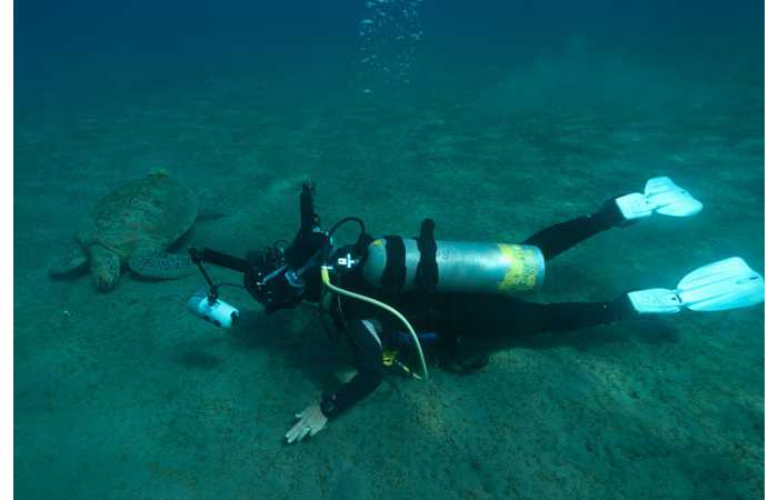 121006EGYMSH0864 121006EGYMSH0864