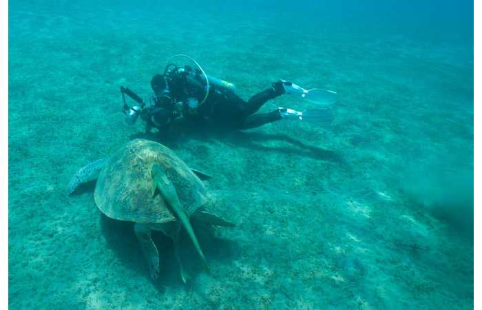 121006EGYMSH0884 121006EGYMSH0884