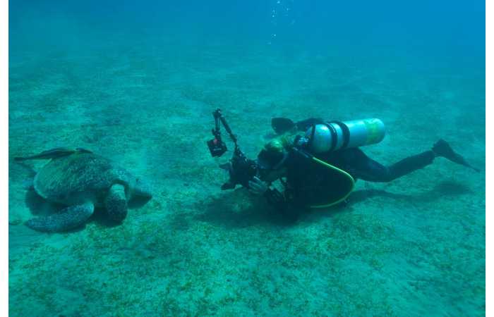 121006EGYMSH0899 121006EGYMSH0899