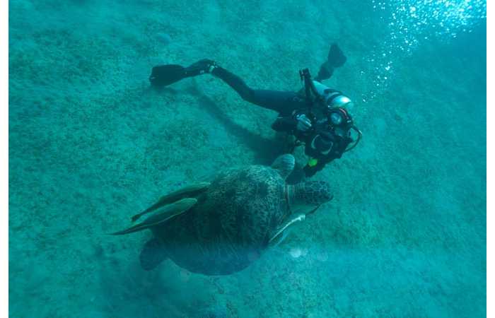 121006EGYMSH0904 121006EGYMSH0904