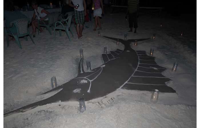 130323MAL1885 130323MAL1885