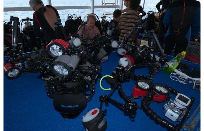 130323MAL1897 130323MAL1897