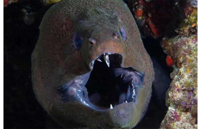 pciture009 pciture009