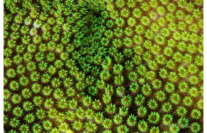 pciture029 pciture029