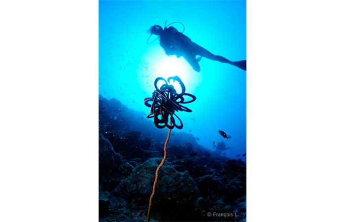 pciture035 pciture035