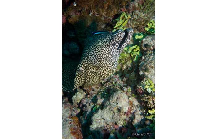 pciture081 pciture081