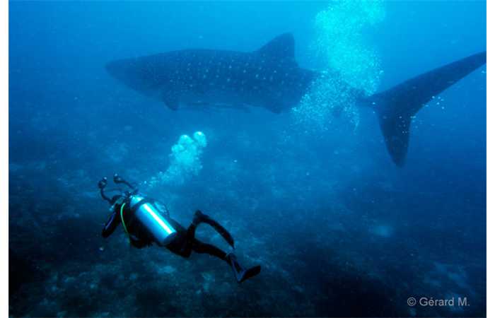 pciture083 pciture083