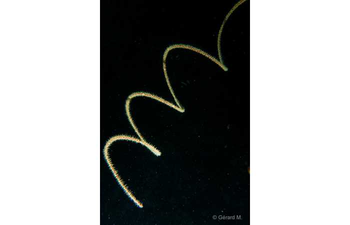 pciture086 pciture086