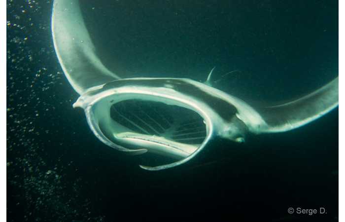 pciture096 pciture096