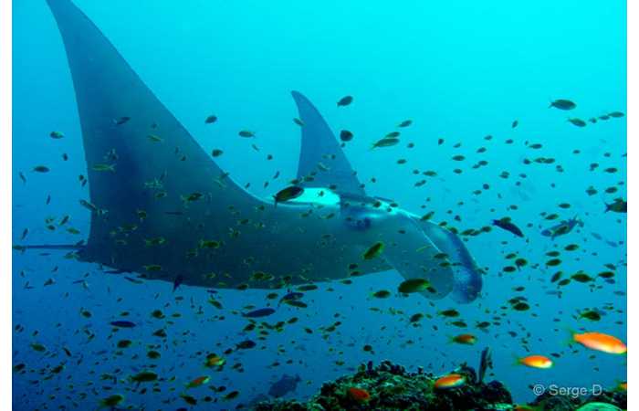 pciture106 pciture106