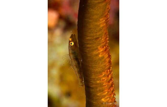 pciture107 pciture107