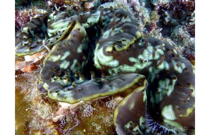 pciture109 pciture109