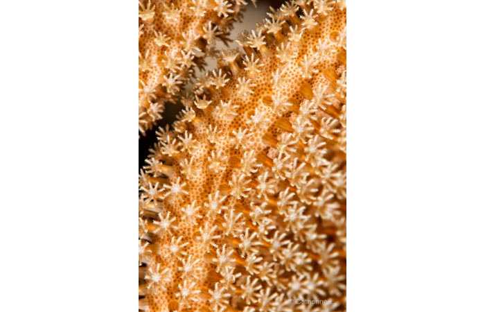 pciture131 pciture131