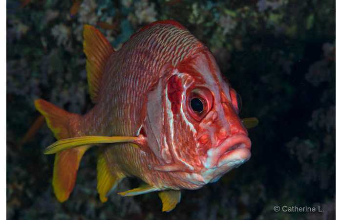 pciture133 pciture133