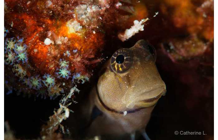 pciture134 pciture134