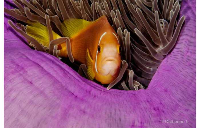 pciture141 pciture141