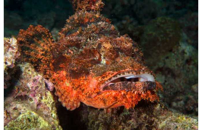 pciture142 pciture142