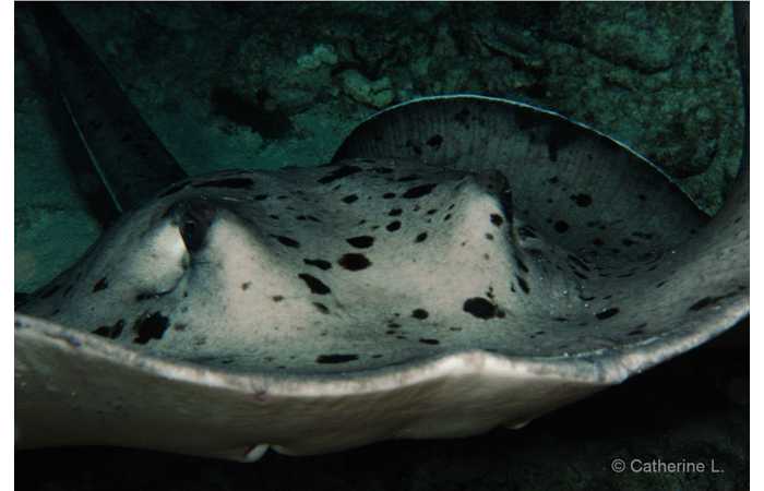 pciture143 pciture143