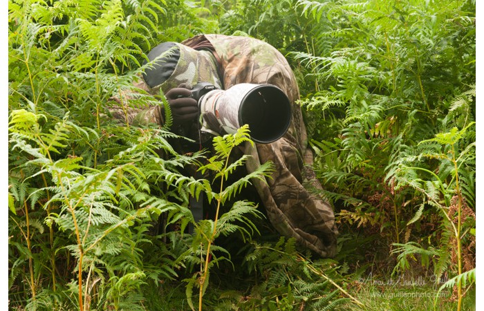 140701ANIVP0025 140701ANIVP0025