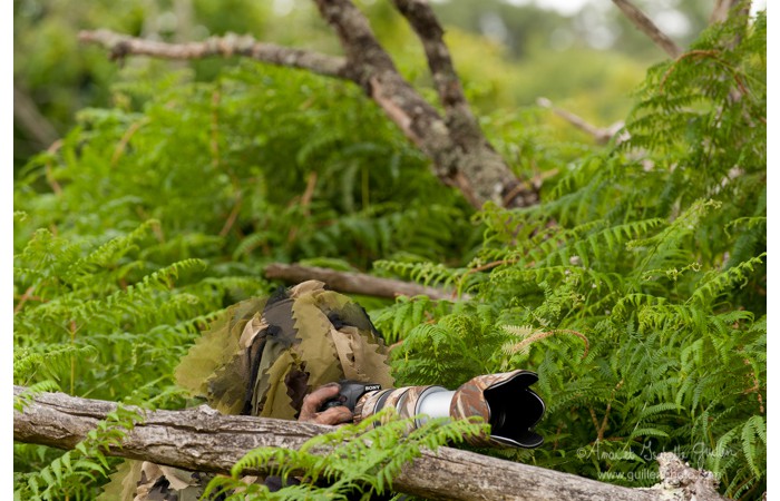 140701ANIVP0059 140701ANIVP0059