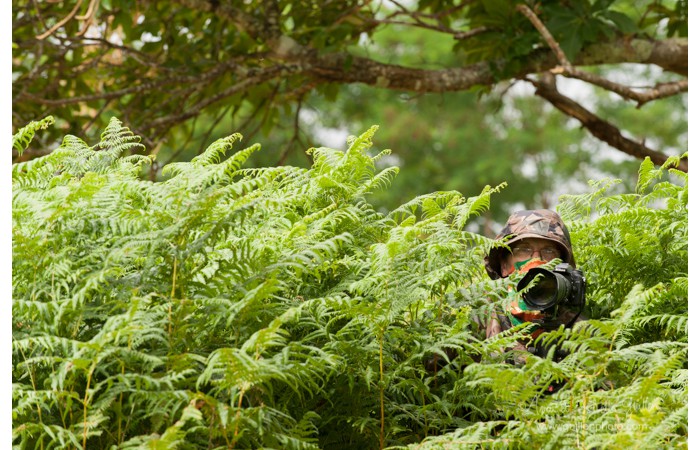 140701ANIVP0065 140701ANIVP0065