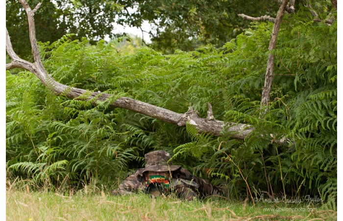 140701ANIVP0072 140701ANIVP0072