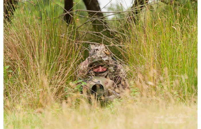 140701ANIVP0077 140701ANIVP0077