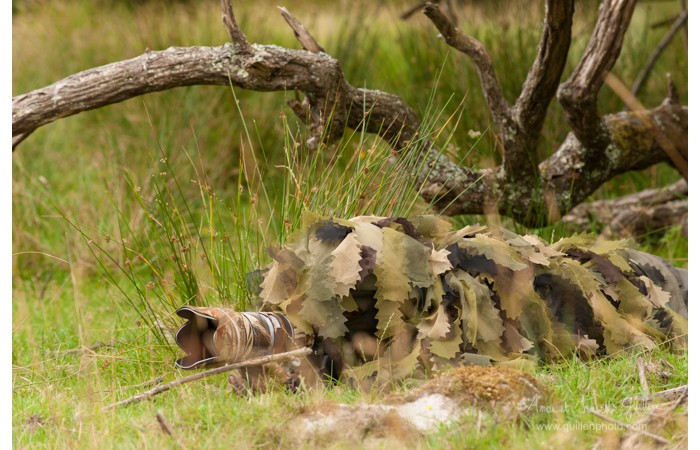 140701ANIVP0082 140701ANIVP0082