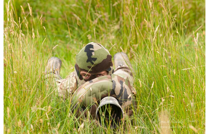 140701ANIVP0084 140701ANIVP0084