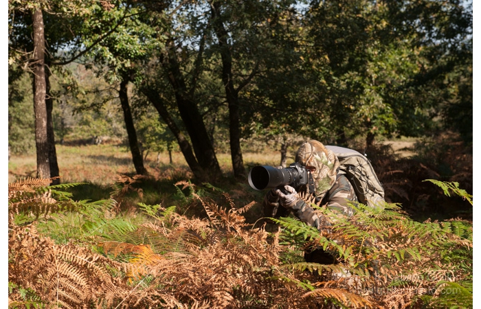 01-140928CMAANIVP0018 01-140928CMAANIVP0018