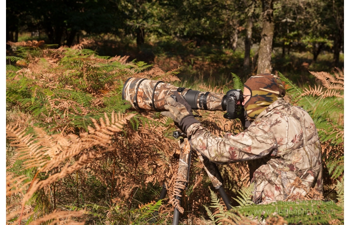 07-140928CMAANIVP0061 07-140928CMAANIVP0061