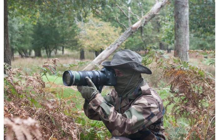 04-141011CHAANIVP0255 04-141011CHAANIVP0255