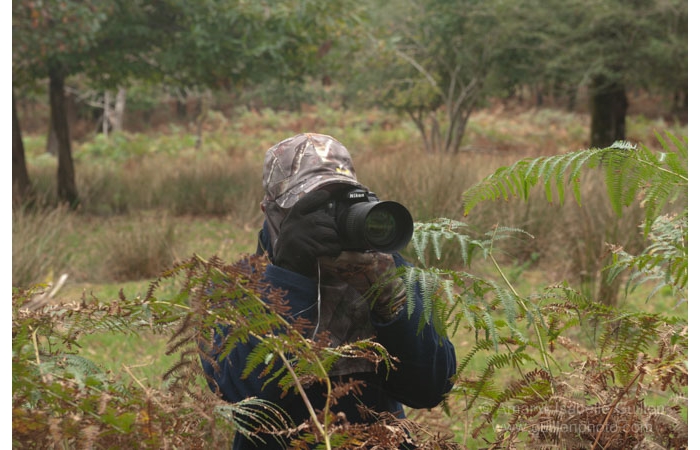 06-141011CHAANIVP0149 06-141011CHAANIVP0149