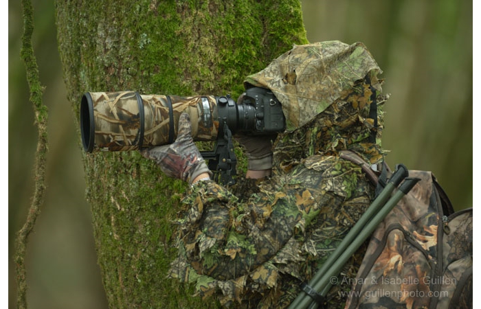 07-141011CHAANIVP0163 07-141011CHAANIVP0163