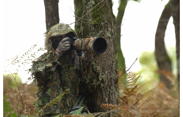 11-141011CHAANIVP0199 11-141011CHAANIVP0199