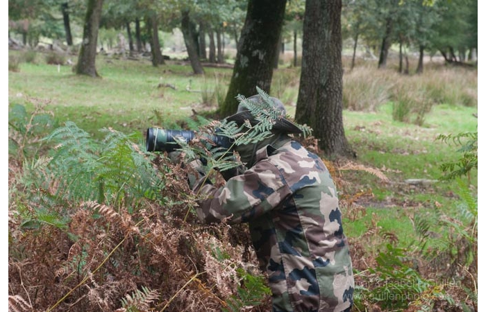 12-141011CHAANIVP0263 12-141011CHAANIVP0263